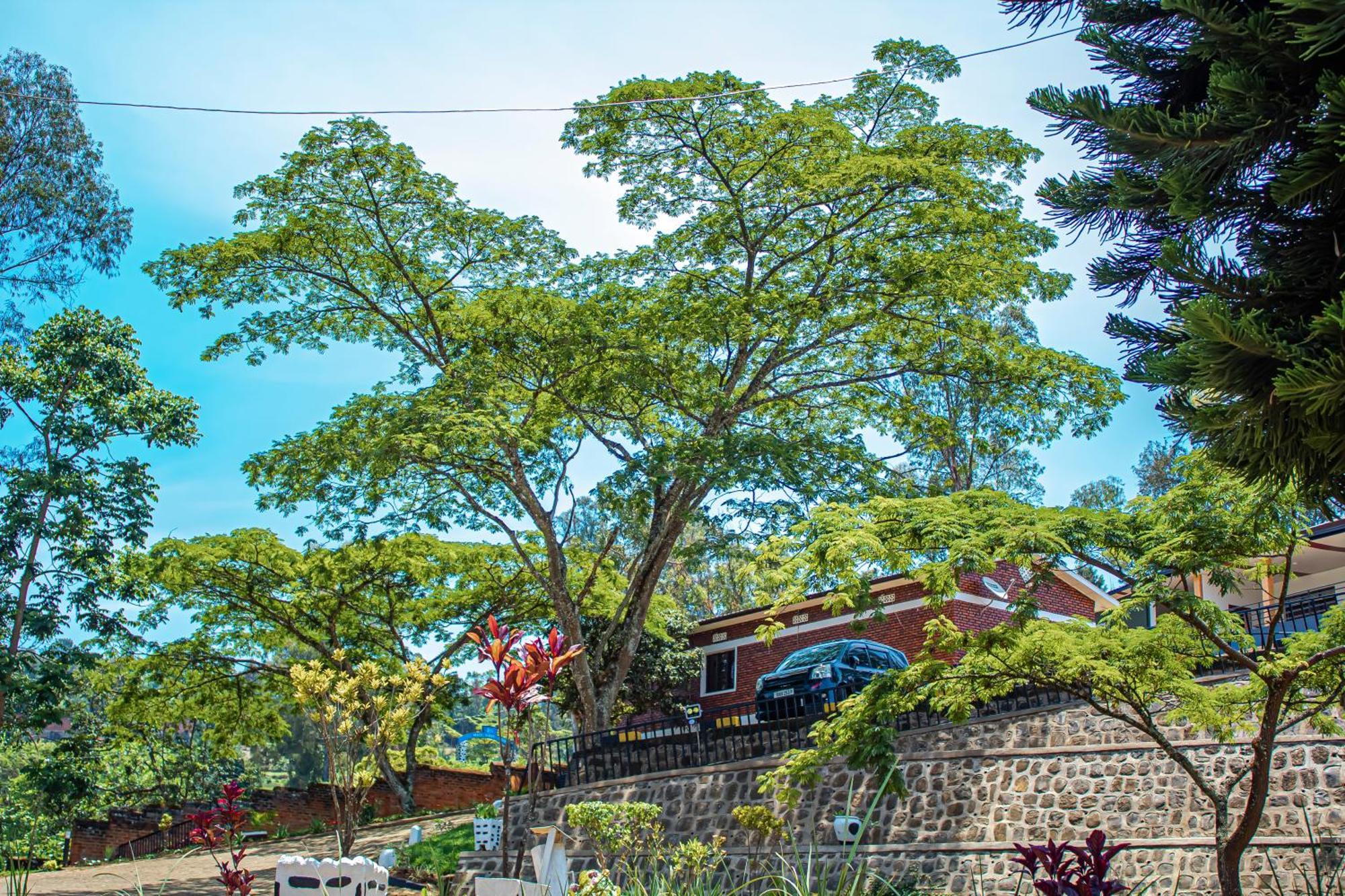 Peace Guest House Muhari Exterior foto